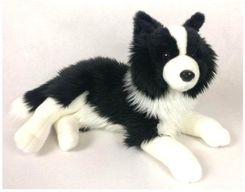 Zdjęcie Dubi Pies Border Collie 31Cm - Tychy