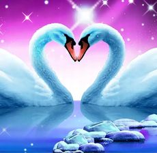 Zdjęcie Obraz Malowanie Po Numerach Na Krośnie - Orneta