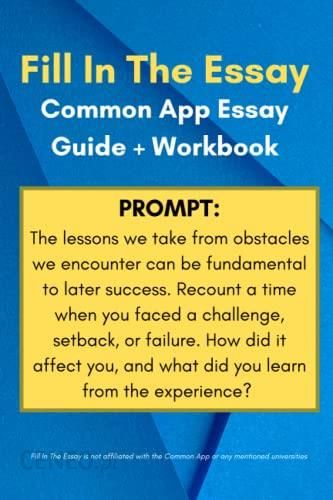obstacles common app essay