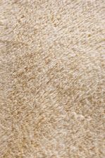 Zdjęcie Moyo 3 Soft Yellow 1mX1m - Kościan