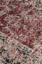 Zdjęcie New Venus Leoti 1.25mX0.80m - Witkowo