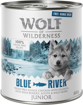 Wolf Of Wilderness Junior Mięso Ze Zrównoważonej Hodowli Junior Blue River Kurczak I Łosoś 12x800g