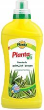 Zdjęcie Nawóz Do Palm Juk I Dracen Vit 1L - Gryfice