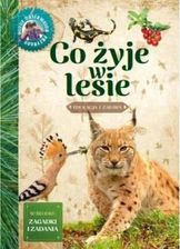 Zdjęcie Młody obserwator przyrody - Co żyje w lesie - Bielsko-Biała