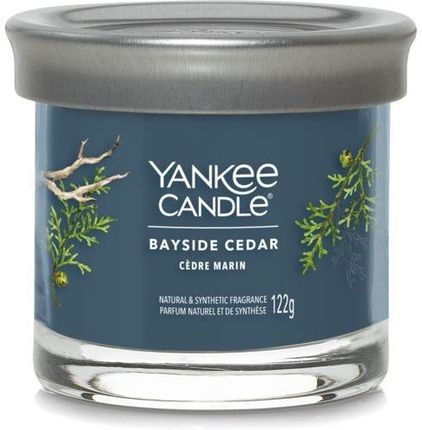 Yankee Candle Tumbler Świeca W Małym Słoiku Bayside Cedar 140644