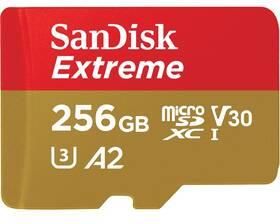 Sandisk Micro Sdxc Mobile Extreme 256Gb (SDSQXAV-256G-GN6GN)