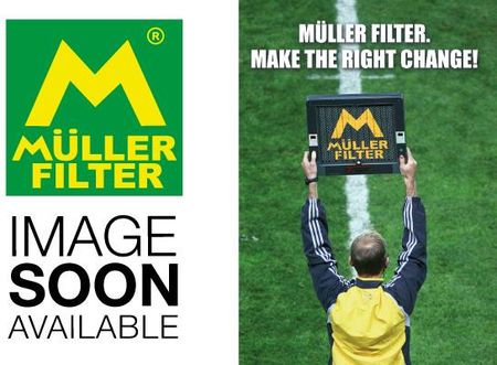 Muller Filter Filtr Powietrza Pa3835