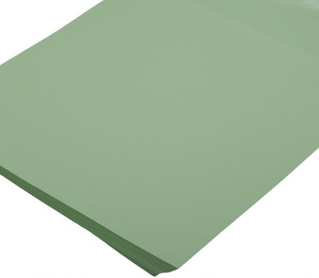 Siima Papier Kolorowy A4 80G Seledynowy 100 Ark (SIIMAPAP2585)