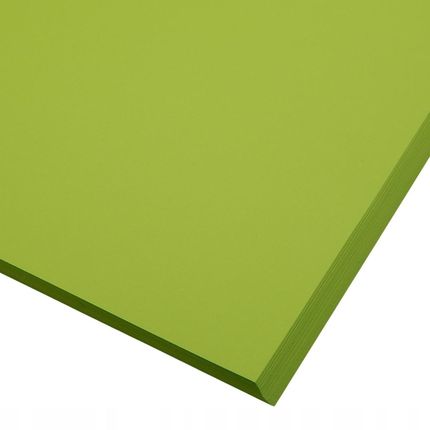 Siima Papier Kolorowy A4 80G Jasno Zielony 100 Ark (SIIMAPAP2607)