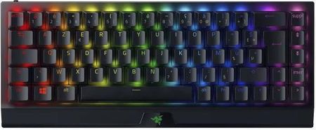 Klawiatura Razer Blackwidow V3 Mini (Raz8886419347217)