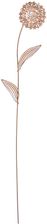 Zdjęcie Dekoria.Pl Dekoracja Dandelion 8X1X75Cm 8x1x75cm - Świebodzice