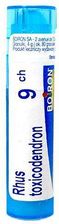 Zdjęcie Boiron Rhus Toxicodendron 9CH 4 g - Gliwice
