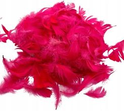 Zdjęcie Piórka dekoracyjne Gęsie naturalne 15 g Fuksja - Kościan