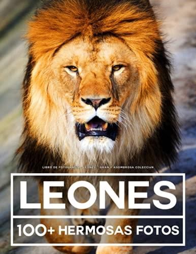 Libro De Fotografía - Leones - Gran y Asombrosa Colección: 100 Hermosas  Fotos En Este Fantástico Libro De Fotos De Leones - Para Niños y Adultos -  Literatura obcojęzyczna - Ceny i opinie 