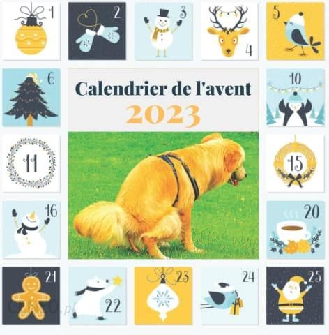 https://image.ceneostatic.pl/data/products/146279508/i-calendrier-de-l-avent-2023-25-jours-chiens-caca-calendrier-de-no-l-25-jours-compte-rebours-cadeaux-amusants-et-joyeux-pour-les-amoureux-des-chien.jpg