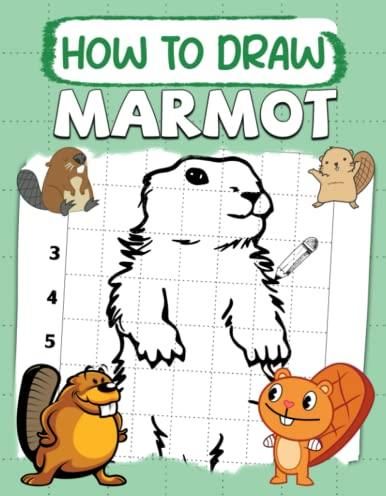 How To Draw Marmot: Learning to Draw Everything And Anything: The Easy ...