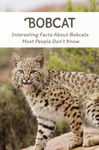 25 Facts About Bobcats