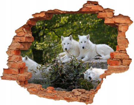 Dziura 3d foto tapeta Naklejka Białe wilki skała