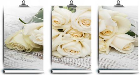 Coloray Lateksowa Róże Białe 250x104