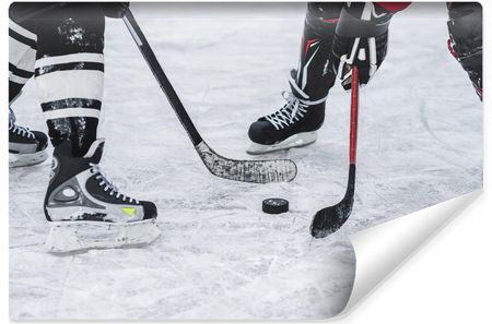 Muralo Fototapeta Sport Hokej Lód 3D 405x270
