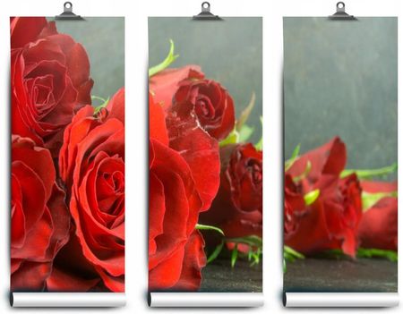 Coloray Lateksowa Róże Czerwone 208x146
