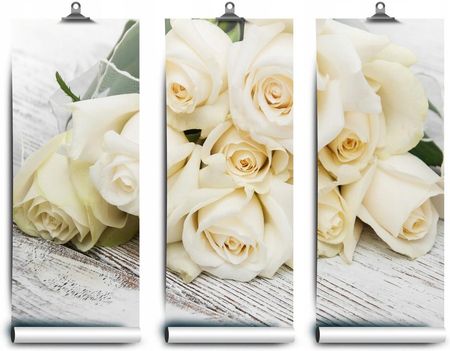 Coloray Lateksowa Róże Białe 312x219