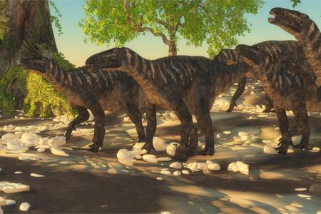 Muralo Fototapeta Dinozaury Przyroda 315x210