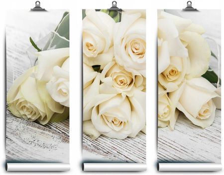 Coloray Lateksowa Róże Białe 152x104