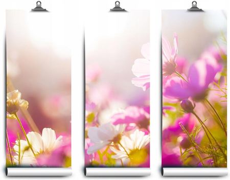 Coloray Lateksowa Kwiaty Stokrotki 104x70