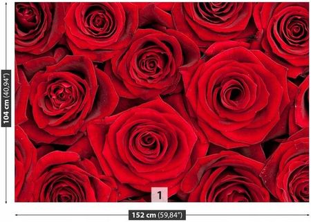 Decoroutlet Samoprzylepna Czerwone Róże 152x104
