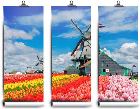 Coloray Fototapeta Lateks Wiatraki Holandia 416x254