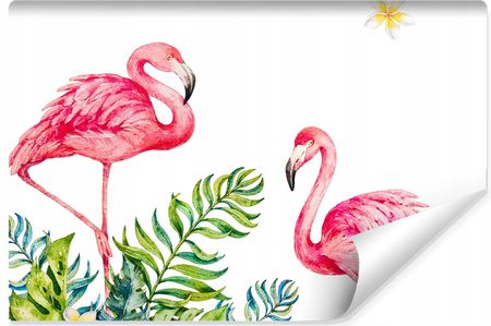 Muralo Fototapeta Flamingi Akwarela 3D 315x210