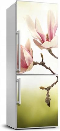 Naklejka na lodówkę Kwiaty magnolii 60x180 cm