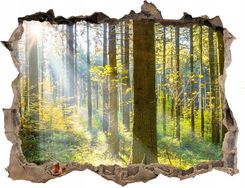 Zdjęcie Samoprzylepna dziura na ścianę Las w słońcu 120x81 - Bartoszyce