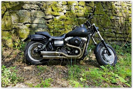 Naklejki 93x62 Harleyem na wycieczkę