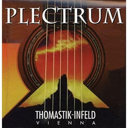Thomastik Einzelsaite G .019 Bronze mit Seideneinlage, umsponnen, flatwound AC019 für Akustikgitarre Plectrum Acoustic Series Satz AC111, AC211 (12-st