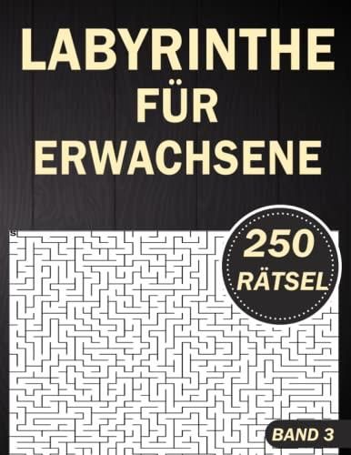 Labyrinthe für Erwachsene band 3: 250 Labyrinthe Mittel bis Extrem mit