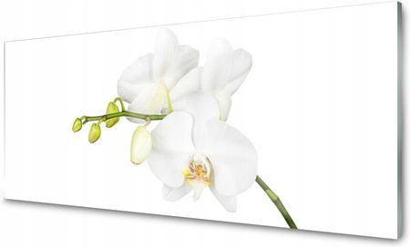 Tulup Panel Szklany Do Kuchni Orchidea Kwiaty 125x50 PLPK125X50NN66237770