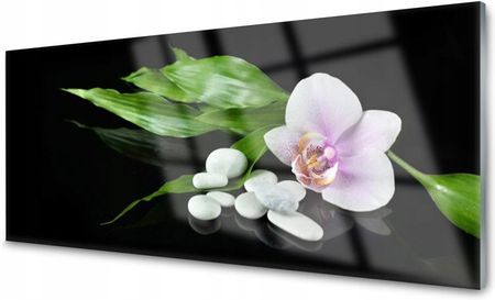 Coloray Panel Szklany Dekor Kwiat Liście 140x70 PLPK140X70NN126248033