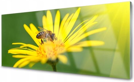 Coloray Panel Szklany Płytka Pszczoła Kwiat 140x70 PLPK140X70NN65119959