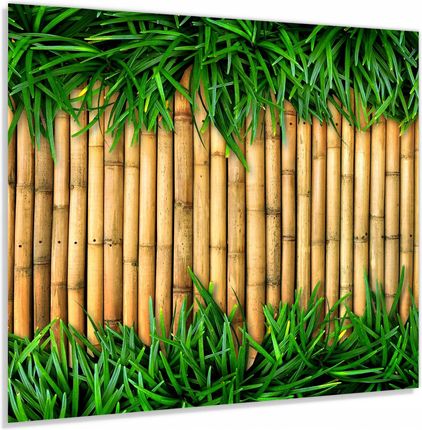 Alasta Szkło Hartowane 60x70 Bambusowa Ściana Z Trawą