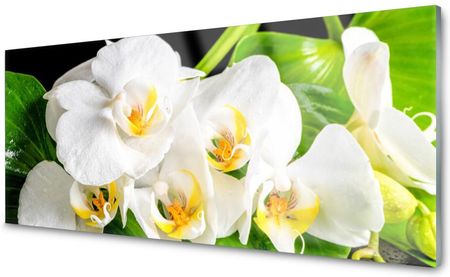 Tulup Panel Szklany Do Kuchni Orchidea Kwiaty 125x50 PLPK125X50NN81860556