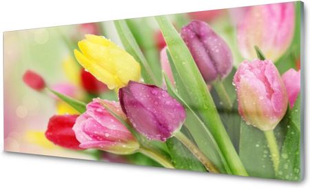 Tulup Panel Szklany Do Kuchni Tulipany Kwiaty 125x50 PLPK125X50NN29459590