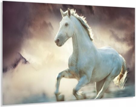 Alasta Panel Szklany Hartowany 90x60 Biały Koń We Mgle