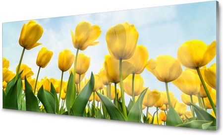 Tulup Panel Szklany Do Kuchni Tulipany Kwiaty 125x50 PLPK125X50NN49538635