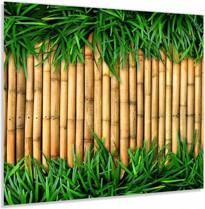 Alasta Szkło Hartowane 50x60 Bambusowa Ściana Z Trawą