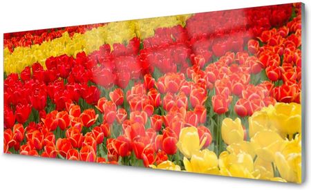 Tulup Panel Szklany Do Kuchni Tulipany Kwiaty 125x50 PLPK125X50NN159092201