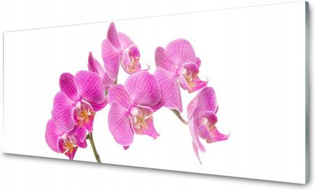 Tulup Panel Szklany Do Kuchni Orchidea Kwiaty 125x50 PLPK125X50NN73847777
