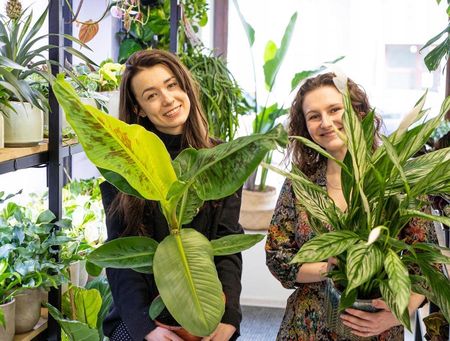 Podoe Premium Calathea Maranta Ziemia 12L Ekstra - Ceny i opinie -  Ceneo.pl