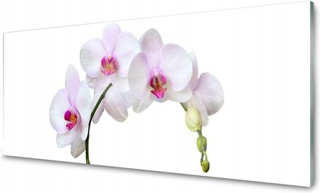 Tulup Panel Szklany Do Kuchni Orchidea Kwiaty 125x50 PLPK125X50NN66517162